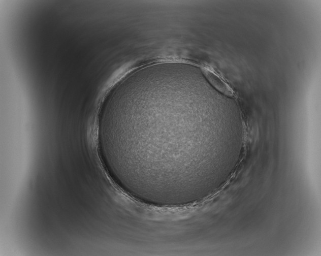 X0000115510005200911061406