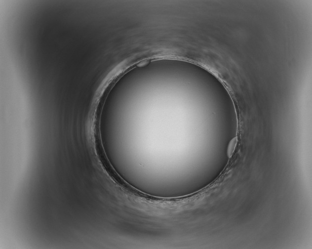 X0000115510007200911061406