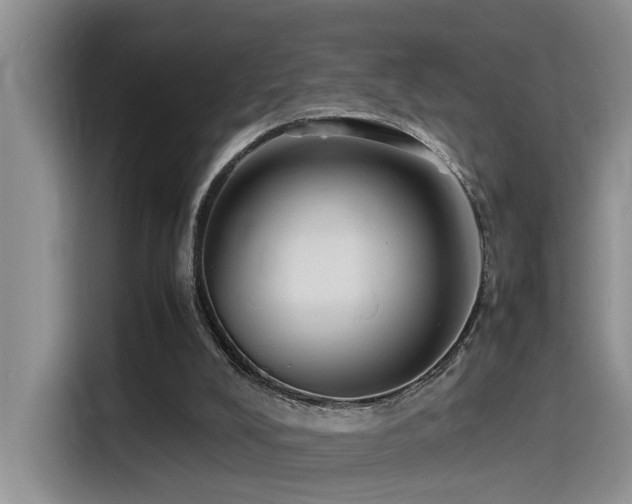 X0000115510008200911061406