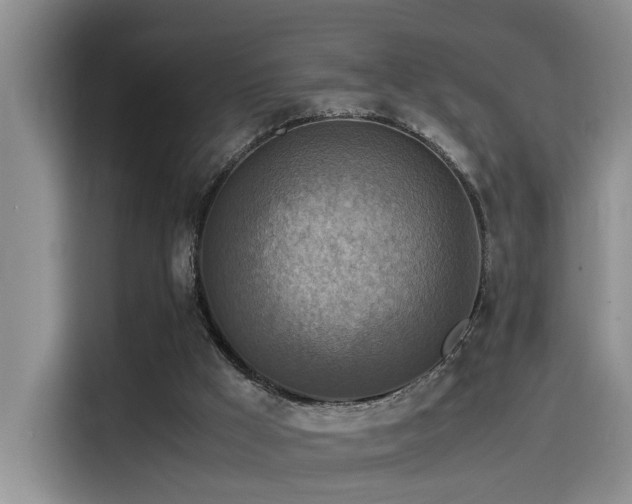 X0000115510009200911061406