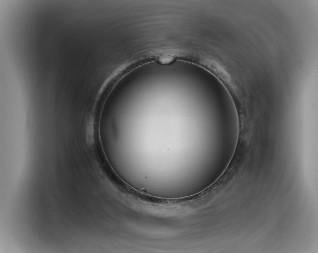 X0000115510012200911061406