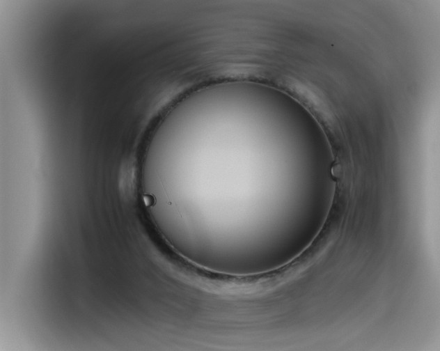 X0000115510016200911061406