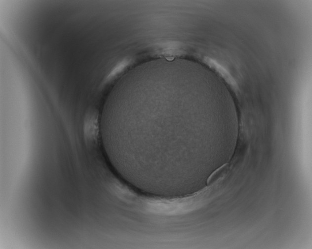 X0000115510017200911061406