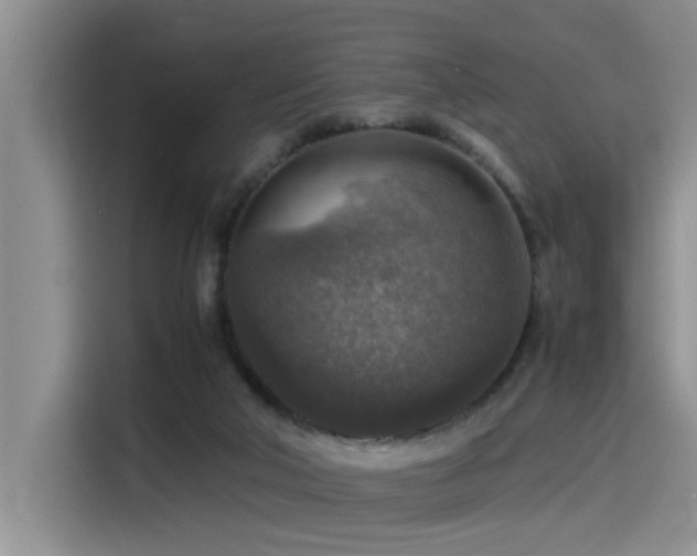 X0000115510018200911061406