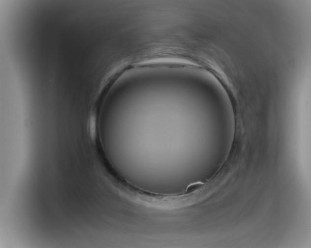 X0000115510019200911061406