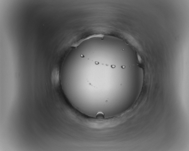 X0000115510021200911061406