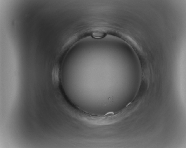 X0000115510023200911061406