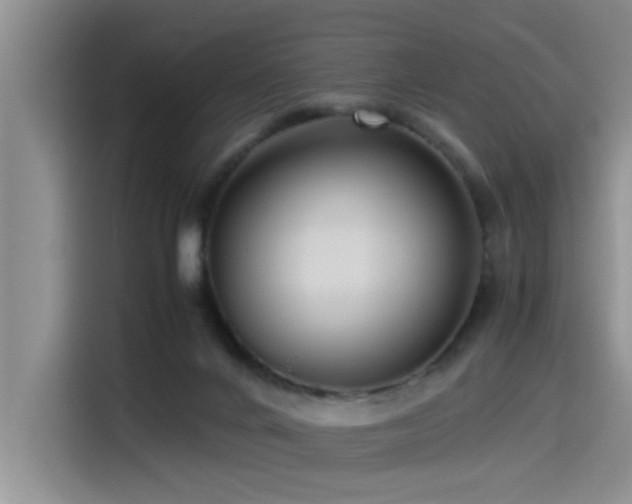 X0000115510024200911061406