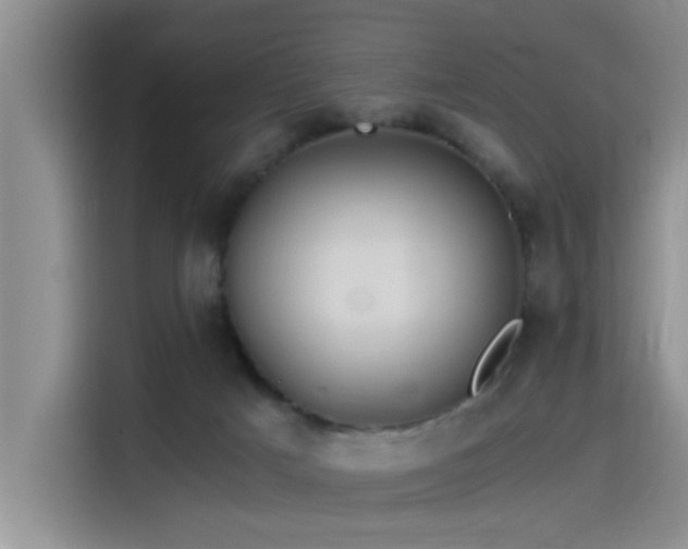 X0000115510025200911061406