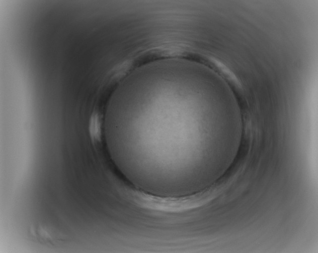 X0000115510026200911061406