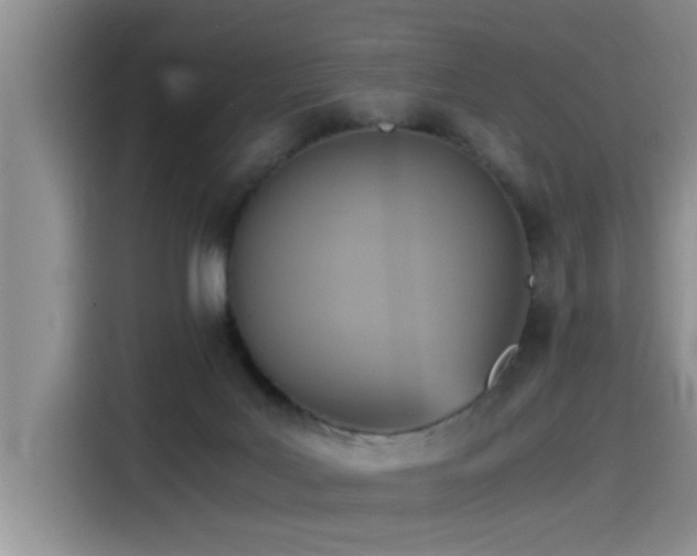 X0000115510027200911061406