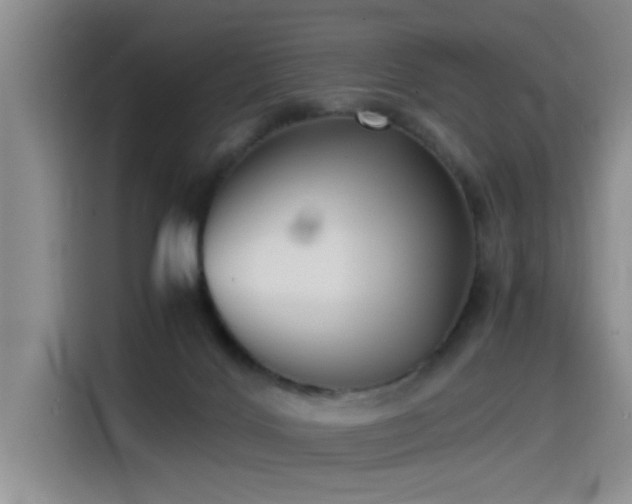 X0000115510028200911061406