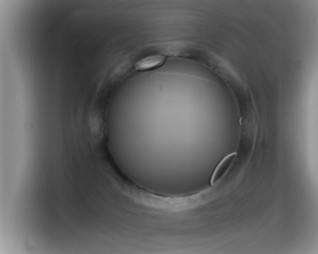 X0000115510031200911061406