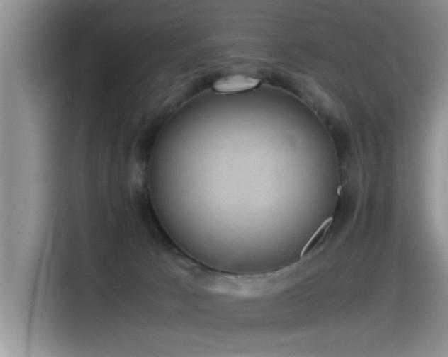 X0000115510033200911061406