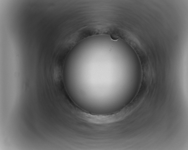 X0000115510034200911061406