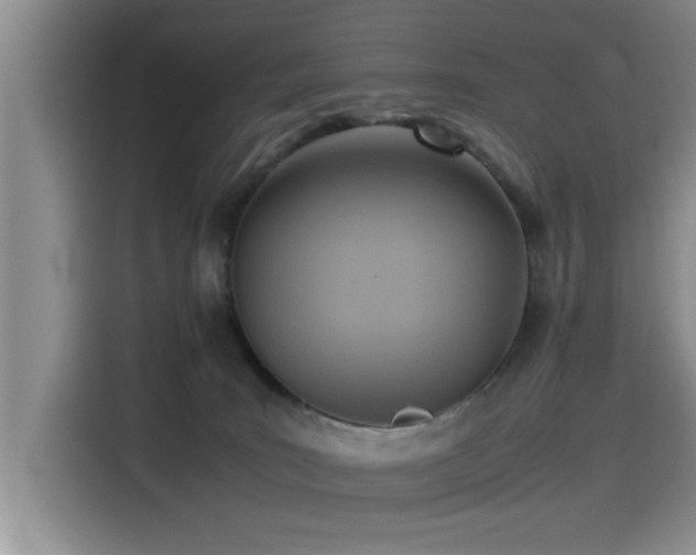 X0000115510035200911061406