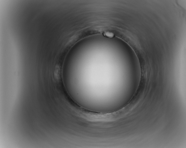 X0000115510036200911061406