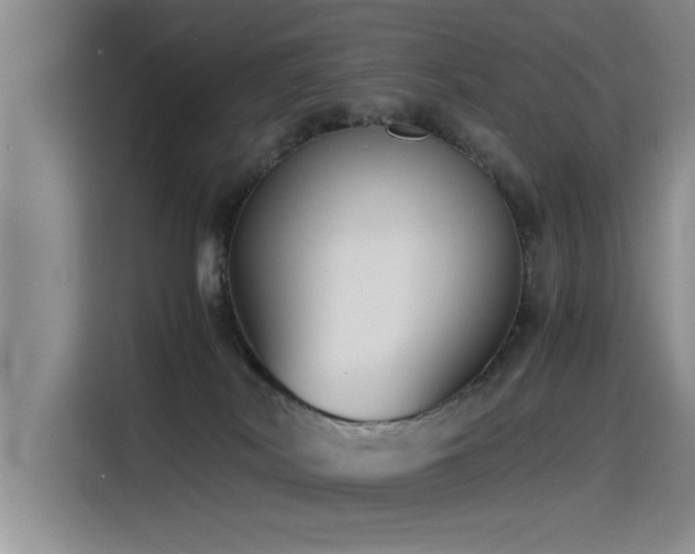 X0000115510038200911061406