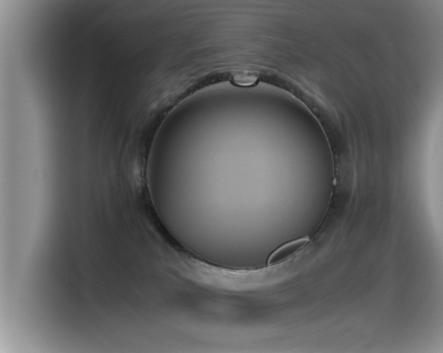 X0000115510039200911061406