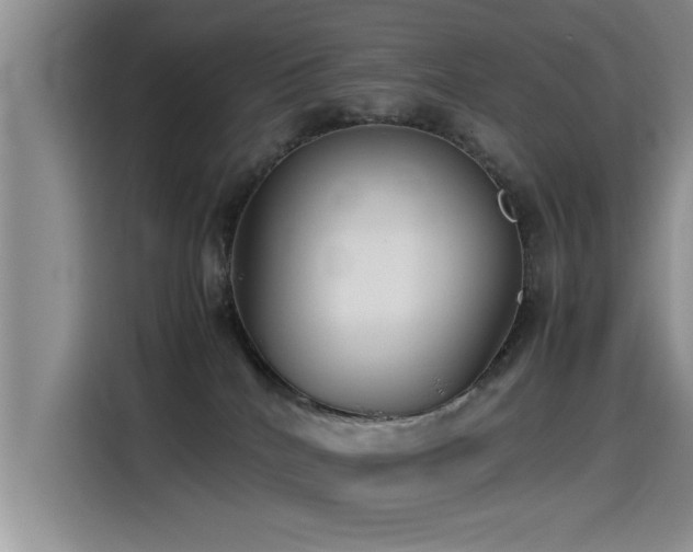 X0000115510040200911061406