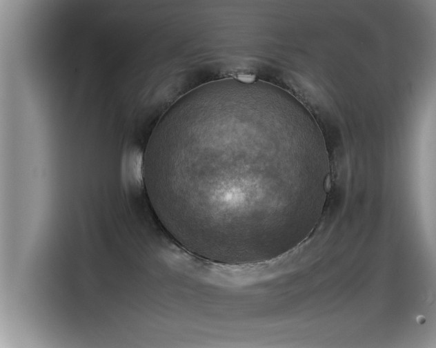 X0000115510041200911061406