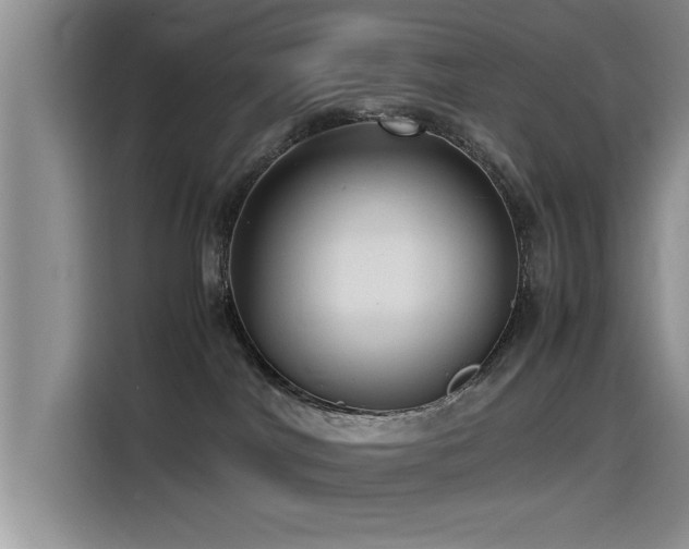 X0000115510044200911061406