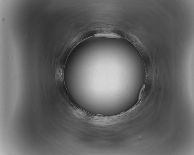 X0000115510045200911061406