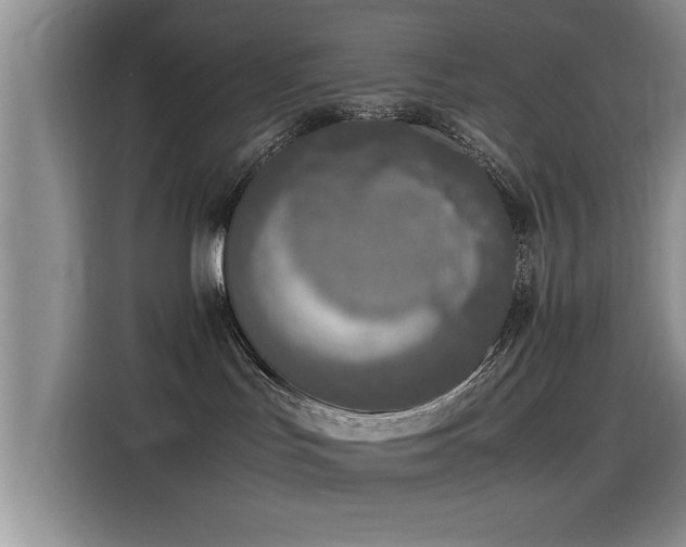 X0000115510047200911061406