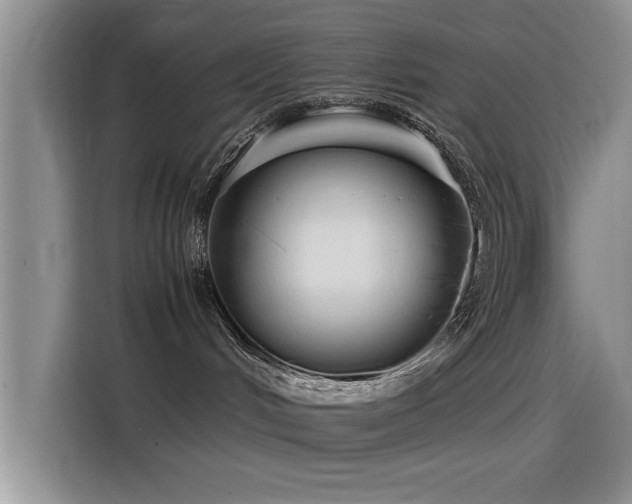 X0000115510048200911061406