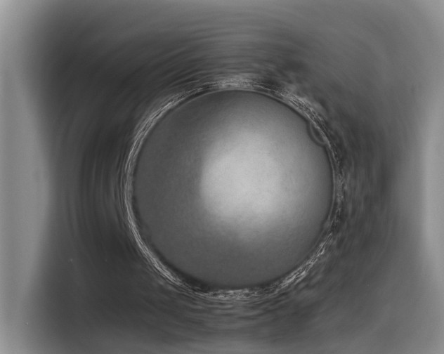 X0000115510049200911061405