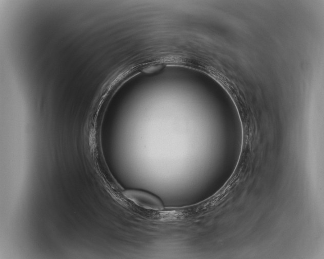 X0000115510050200911061405