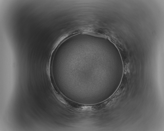 X0000115510052200911061405