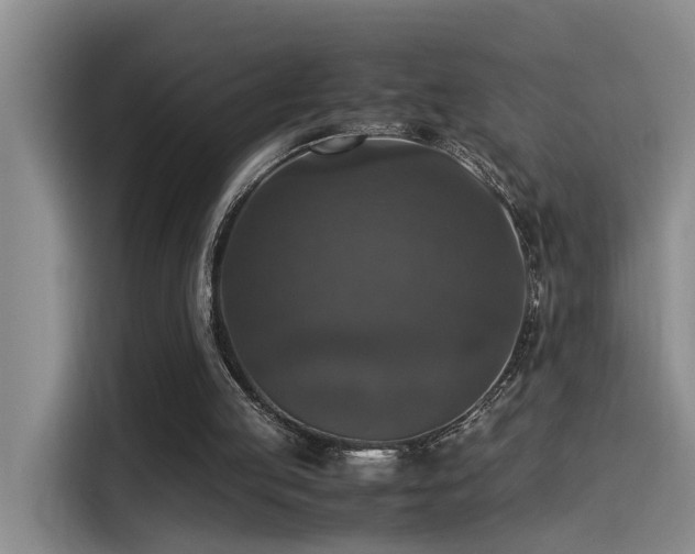 X0000115510053200911061405