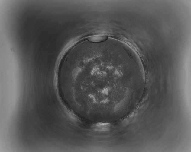 X0000115510055200911061405