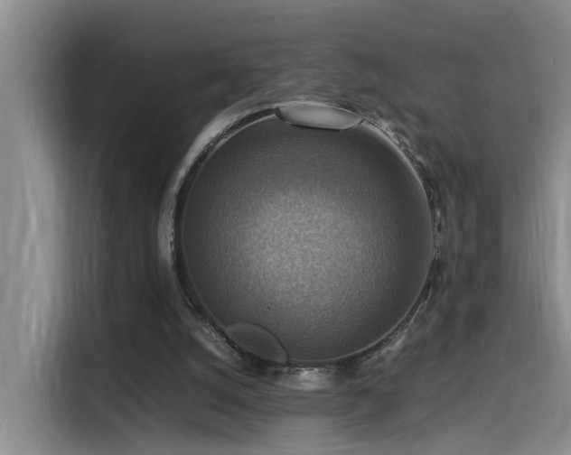 X0000115510056200911061405