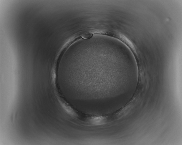 X0000115510059200911061405