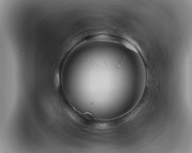 X0000115510061200911061405