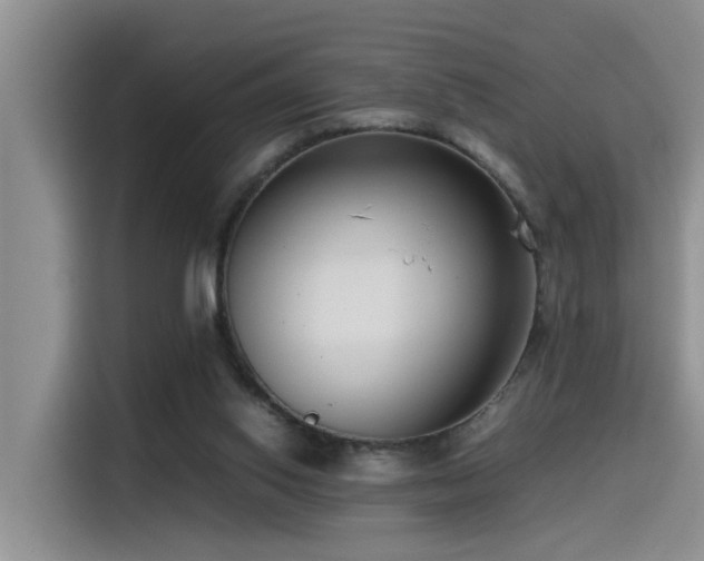 X0000115510062200911061405