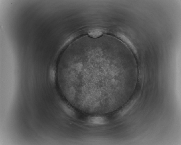 X0000115510063200911061405