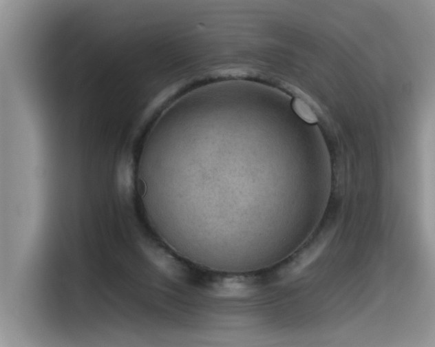 X0000115510064200911061405