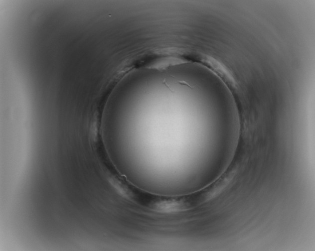 X0000115510065200911061405