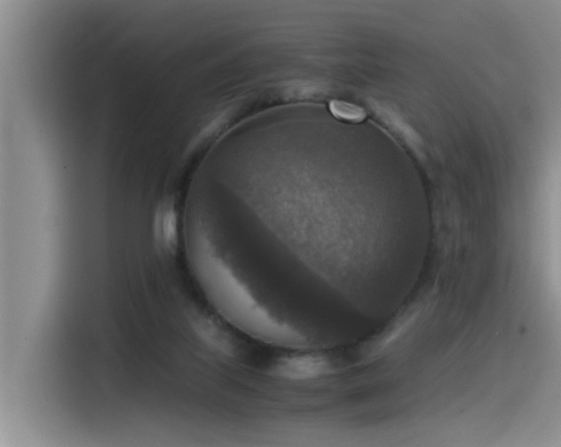 X0000115510067200911061405