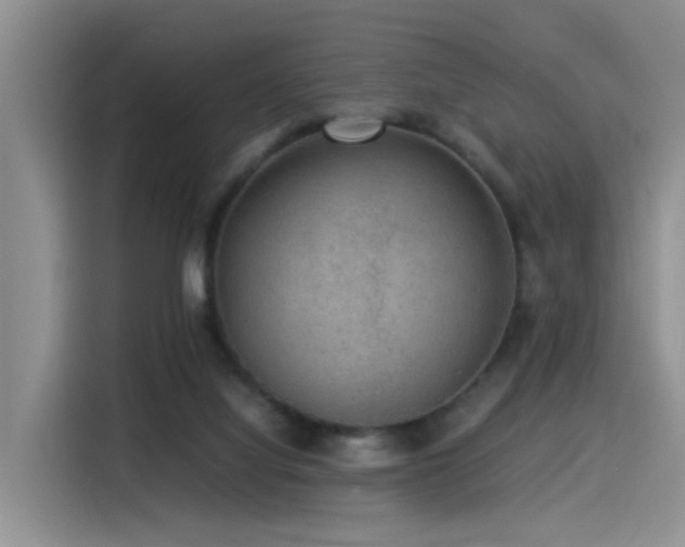 X0000115510068200911061405