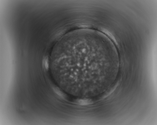 X0000115510069200911061405