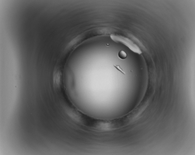 X0000115510071200911061405