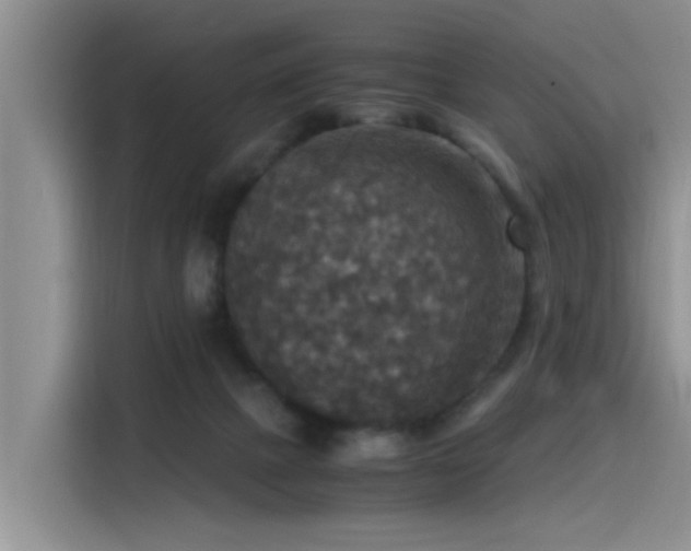 X0000115510073200911061405