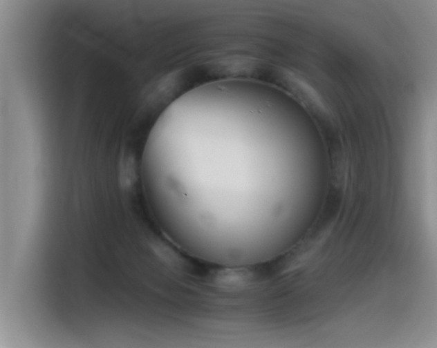 X0000115510077200911061405