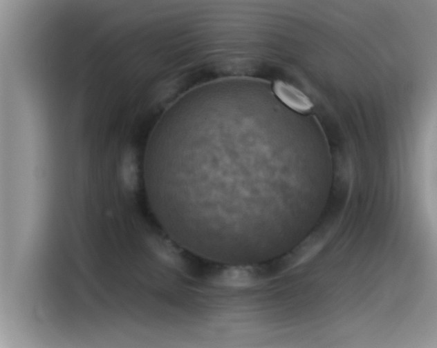 X0000115510080200911061405