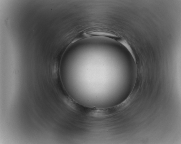 X0000115510082200911061405