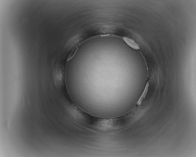 X0000115510084200911061406